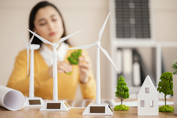 Bildung für nachhaltige Entwicklung (BNE)