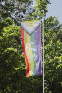 Symbolic picture for the article. The link opens the image in a large view.